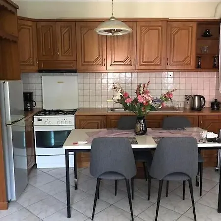 Andromachi Apartment Pigi  Extérieur photo