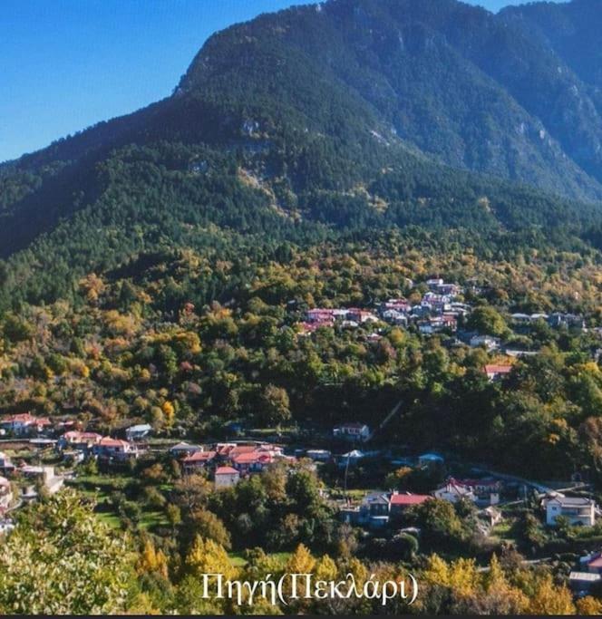 Andromachi * Pigi (Ioannina)
